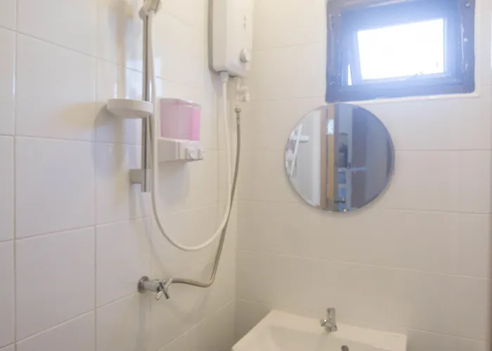 Grey Sheep